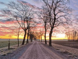 Breviary Morning Prayer
