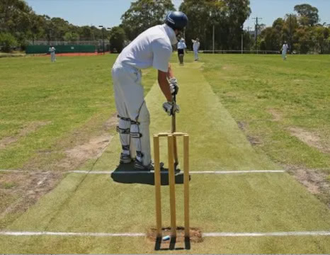 Read more about the article Cricket Group