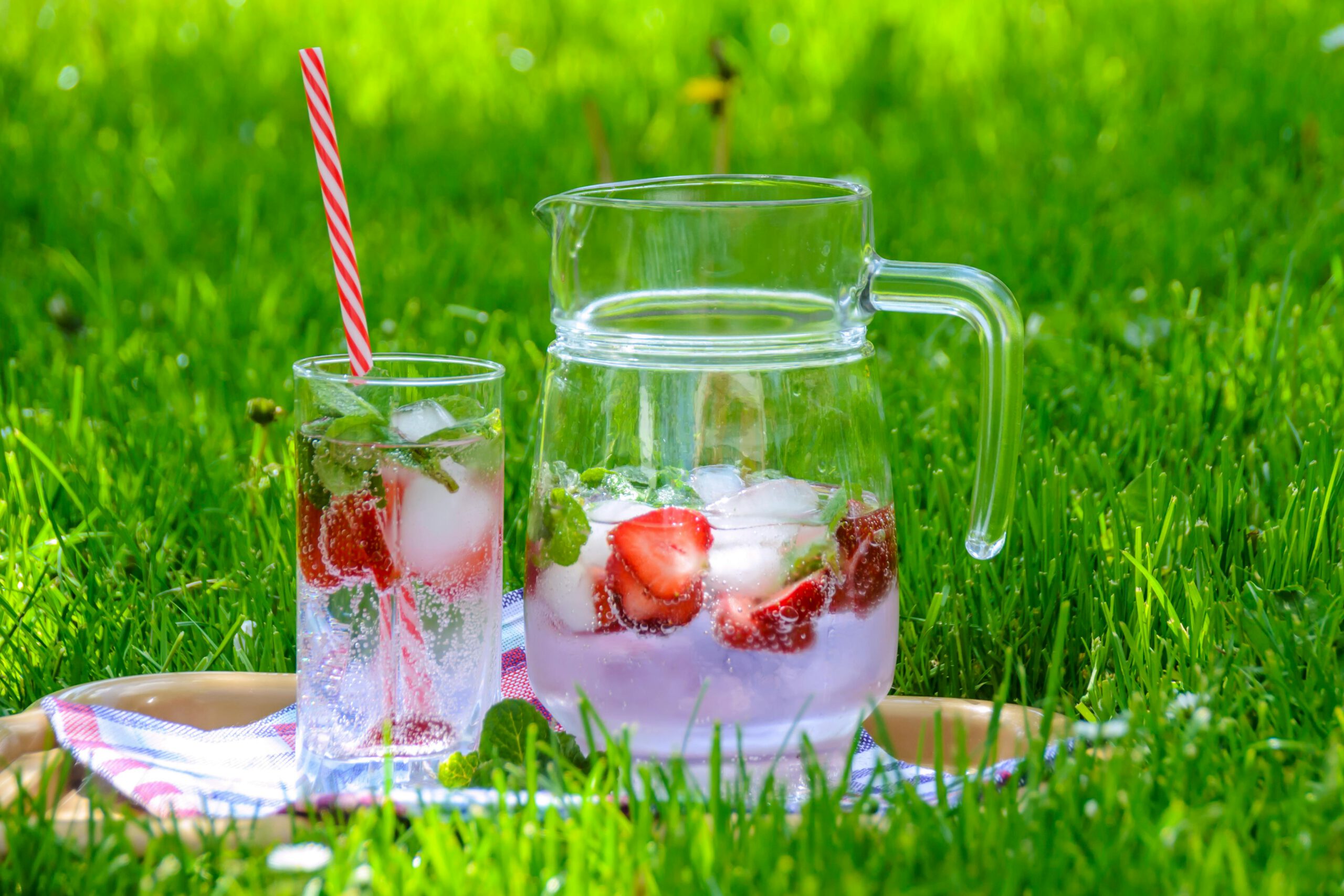 Read more about the article Picnic in the Garden