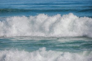 Bereavement Support Group