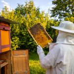 St Bon's Climate Action Group: Talk by the 'Bee Lady'