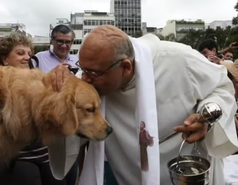 Blessing of Animals