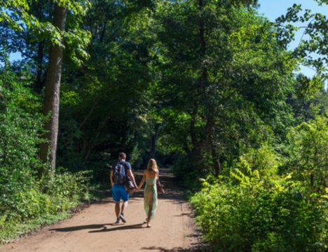 Going the Distance: Support for a Vibrant and Lasting Marriage