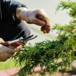 St Teresa's Volunteer Day