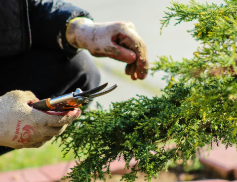 St Teresa's Volunteer Day