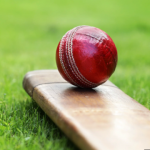 Cricket, Lovely Cricket