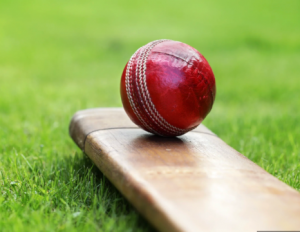 Cricket, Lovely Cricket