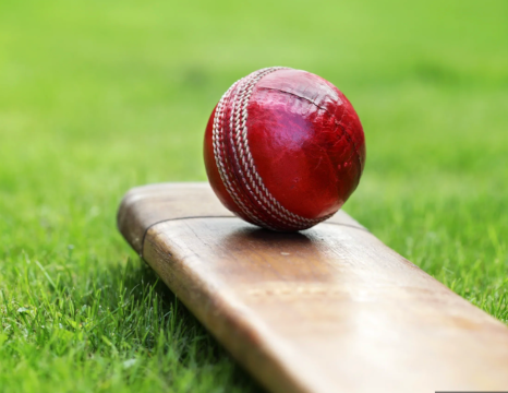 Cricket, Lovely Cricket